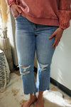 Audrey High Rise Crop Flare Denim