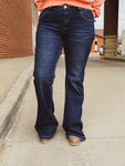 Shania Low Rise Flare Denim