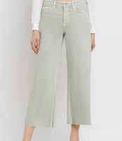 Desert Cactus Denim-CURVY