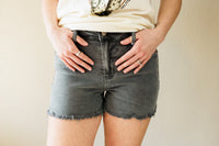 Hallie Colored Cut Off Denim Shorts