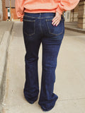 Shania Low Rise Flare Denim