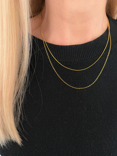 Double Layered Necklace